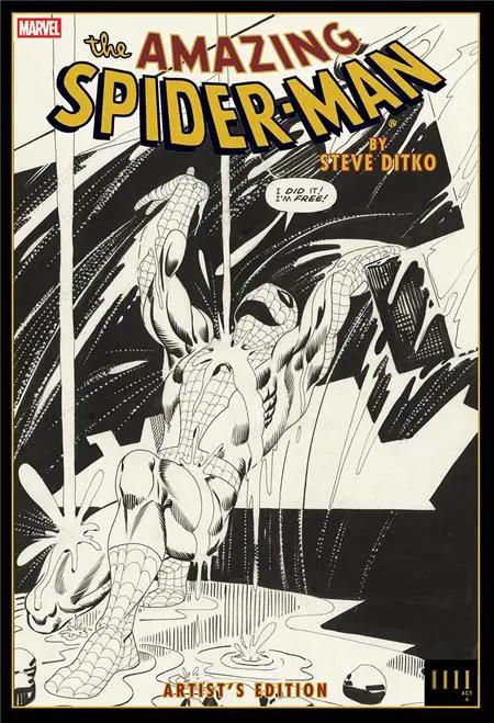 AMAZING SPIDER MAN BY STEVE DITKO ARTISTS EDITION HC RAIN CVR Image Comics