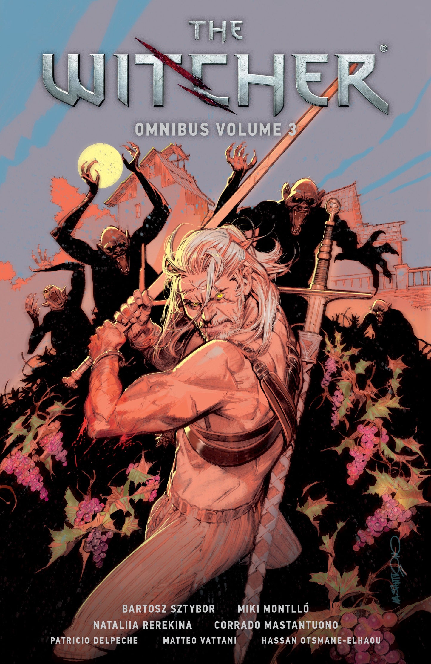 The Witcher Omnibus Volume 3 Dark Horse Comics