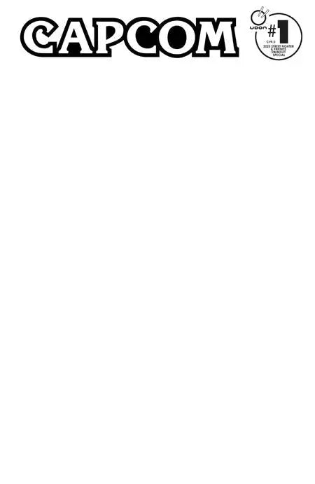 2025 STREET FIGHTER & FRIENDS SWIMSUIT SPECIAL #1 (ONE SHOT) CVR D BLANK SKETCH VAR UDON Entertainment