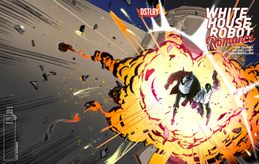 WHITE HOUSE ROBOT ROMANCE #3 CVR D ELIZA IVANOVA VARIANT DSTLRY