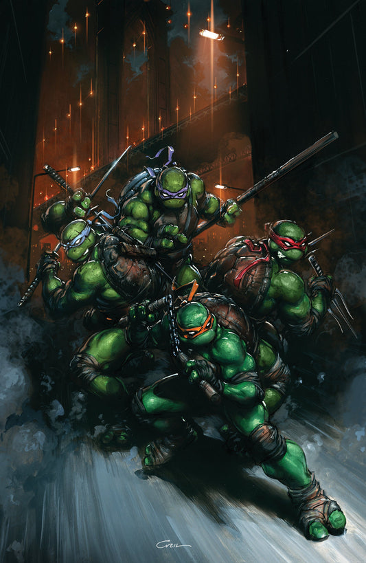 Teenage Mutant Ninja Turtles #13 INCENTIVE Variant RI (50) (Crain Full Art) 1:50 IDW Publishing