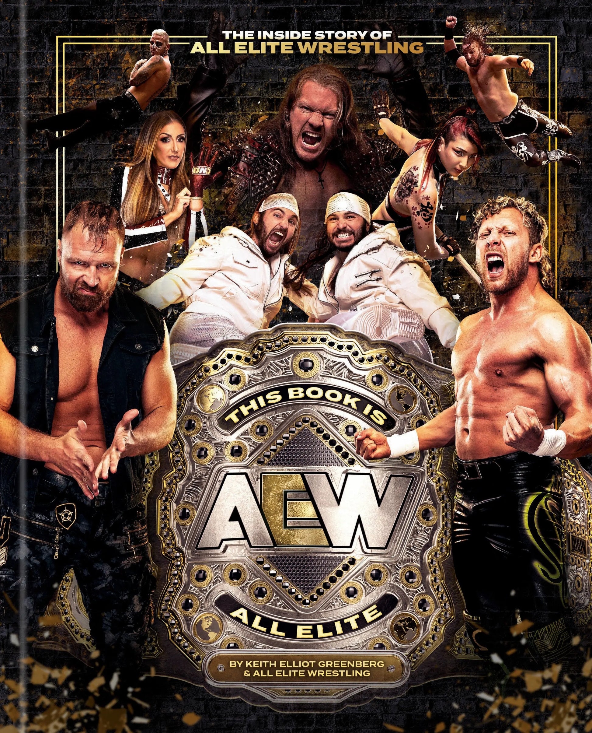 This Book Is All Elite: The Inside Story of All Elite Wrestling Random House Worlds